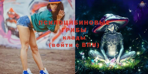 прущий лед Алексин